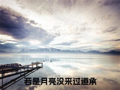 若是月亮没来过道承（夏棠时道承）全文免费阅读无弹窗大结局_（若是月亮没来过道承）已完结全集大结局小说