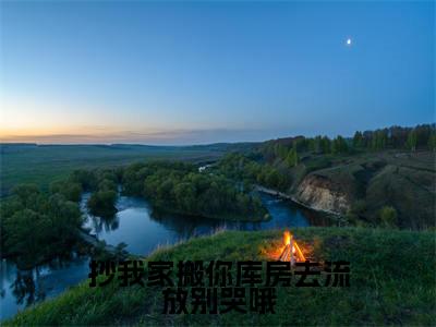 （叶芷汐赵钰）全文免费阅读抄我家搬你库房去流放别哭哦言情小说讲的是什么