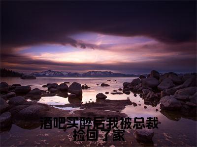 酒吧买醉后我被总裁捡回了家（陆北琛陈橙）全文免费阅读_酒吧买醉后我被总裁捡回了家（陆北琛陈橙）最新章节列表笔趣阁