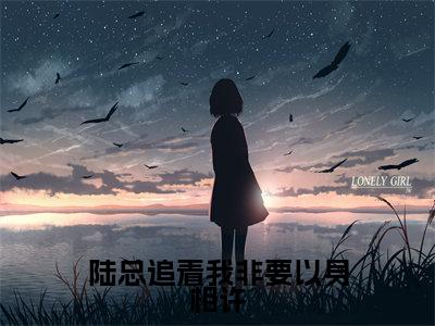 沈芊芊陆霆夜全本资源(陆总追着我非要以身相许)全文免费阅读无弹窗大结局_陆总追着我非要以身相许最新章节列表(沈芊芊陆霆夜)