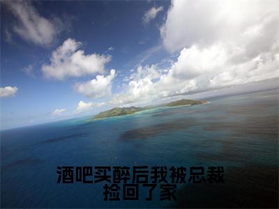 酒吧买醉后我被总裁捡回了家小说（陆北琛陈橙）全文免费阅读无弹窗大结局_陆北琛陈橙小说最新章节列表_笔趣阁