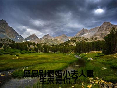 盛祈年洛千渝小说（盛总别退婚小夫人重生来爱你了）全文免费阅读无弹窗大结局_（盛祈年洛千渝）小说章节列表（盛总别退婚小夫人重生来爱你了）