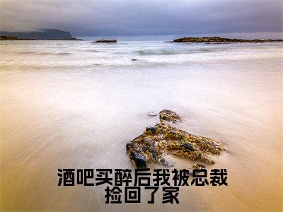 陆北琛陈橙（酒吧买醉后我被总裁捡回了家）全文免费阅读无弹窗大结局_陆北琛陈橙最新章节列表_笔趣阁