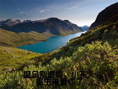 盛总别退婚,小夫人重生来爱你了(盛祈年洛千渝)全文免费阅读无弹窗大结局_盛总别退婚,小夫人重生来爱你了最新章节列表_笔趣阁