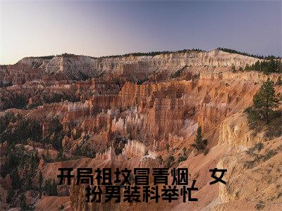 谢玉衡（开局祖坟冒青烟，女扮男装科举忙）在哪免费看-谢玉衡小说（开局祖坟冒青烟，女扮男装科举忙）全文完整版免费阅读