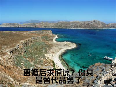 离婚后求原谅?你只是替代品罢了(秦双)全文免费阅读无弹窗大结局_(秦双)秦双最新章节列表