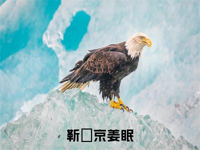 姜眠靳玨京全文（靳玨京姜眠小说）全文免费阅读无弹窗大结局_靳玨京姜眠免费最新章节列表