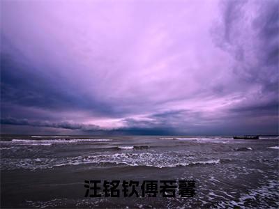 汪铭钦傅若馨（傅若馨汪铭钦）小说全文免费阅读正版无弹窗，汪铭钦傅若馨免费阅读