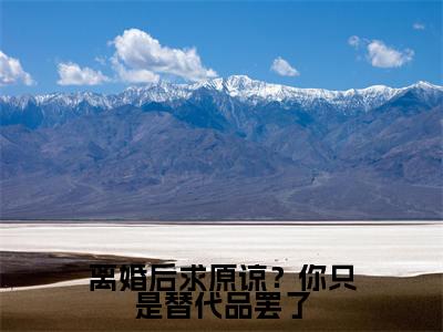 离婚后求原谅？你只是替代品罢了秦双免费小说秦双全文无弹窗完整版阅读
