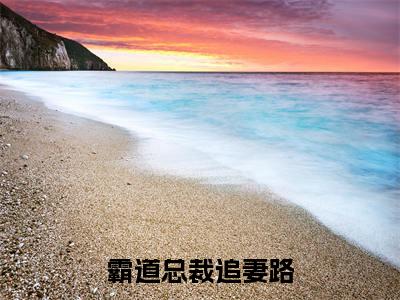 霸道总裁追妻路免费小说-(霸道总裁追妻路)顾墨良何玖完结版在线阅读