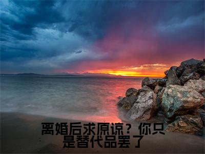 离婚后求原谅?你只是替代品罢了小说大结局完整版阅读,秦双小说全文在线阅读
