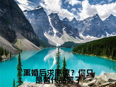 离婚后求原谅?你只是替代品罢了无弹窗(秦双)全文免费阅读无弹窗大结局_秦双最新章节列表(秦双)