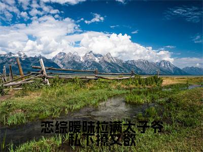 恋综暧昧拉满太子爷私下撩又欲（姜知淮温肆）小红书热荐小说-恋综暧昧拉满太子爷私下撩又欲女生爱看的小说全集资源
