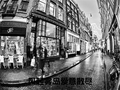 风起雾岛爱意散尽纪黛宁傅之衍正版小说全文阅读纪黛宁傅之衍全文免费完整版