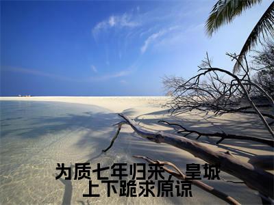 为质七年归来，皇城上下跪求原谅全文免费在线阅读_轩辕墨晏九黎全文免费阅读无弹窗大结局