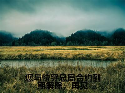 您与快穿总局合约到期解除,再见(顾云霆江念)小说全文免费阅读无弹窗-您与快穿总局合约到期解除,再见小说全文免费阅读大结局笔趣阁