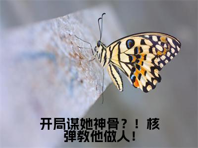 蕊蕊是什么小说-小说开局谋她神骨?!核弹教他做人!全文阅读