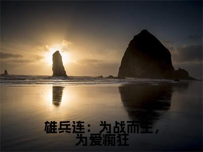 雄兵连：为战而生，为爱痴狂全集完整版大结局-洛星河小说在线赏析