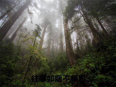 祝婉付昀(往事如烟不相思)的小说完整版免费阅读主角是(祝婉付昀)往事如烟不相思无弹窗免费阅读