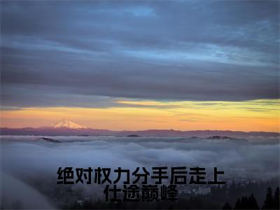 绝对权力分手后走上仕途巅峰全文免费阅读全文免费阅读无弹窗大结局_关之峰全文免费阅读