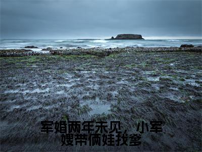 军婚两年未见,小军嫂带俩娃找爹(宋言彻许烟)全文免费阅读无弹窗大结局_宋言彻许烟(军婚两年未见,小军嫂带俩娃找爹最新章节在线阅读)_笔趣阁