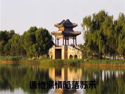 诱他深情陷落苏禾（池昱泽苏禾）小说全文免费阅读无弹窗大结局_池昱泽苏禾全文免费阅读