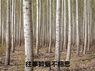 往事如烟不相思小说（祝婉付昀）全文免费阅读_（往事如烟不相思小说）祝婉付昀小说精彩在线赏析
