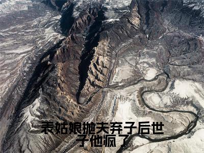 陆晏廷江近月小说免费阅读无弹窗，小说名字是：表姑娘抛夫弃子后世子他疯了的小说在线阅读无删减