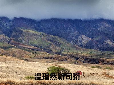 靳司珩温瑾然小说在线阅读全文无弹窗_温瑾然靳司珩小说最新全文完整无删减版