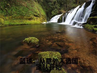 篮球:从意外入选国家队开始(林大浪)小说全文免费_篮球:从意外入选国家队开始(林大浪)最新章节目录笔趣阁
