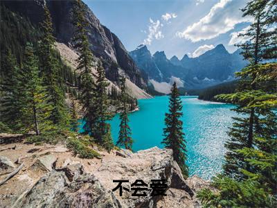 秦芷卿（不会爱）小说在线阅读-最新小说不会爱（秦芷卿）全文阅读