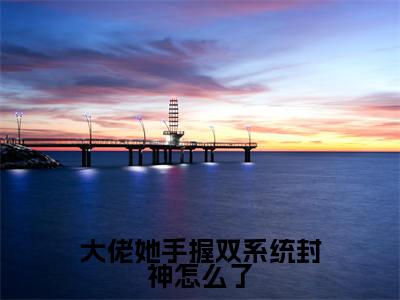 大佬她手握双系统封神怎么了（陆云韶）小说全文免费_大佬她手握双系统封神怎么了（陆云韶）最新章节目录笔趣阁