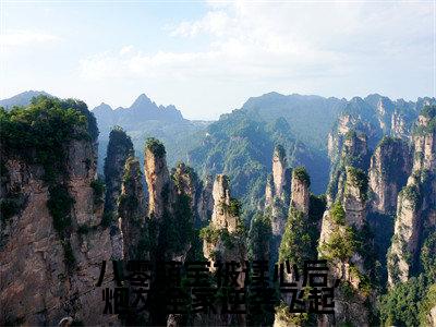 沈念念(八零萌宝被读心后,炮灰全家逆袭飞起)全文免费阅读无弹窗_八零萌宝被读心后,炮灰全家逆袭飞起最新小说_笔趣阁(沈念念)