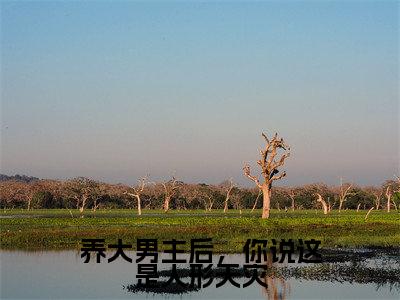 养大男主后,你说这是人形天灾(乔清疏裴周妄)全文免费阅读无弹窗大结局_养大男主后,你说这是人形天灾最新章节列表_笔趣阁(乔清疏裴周妄)