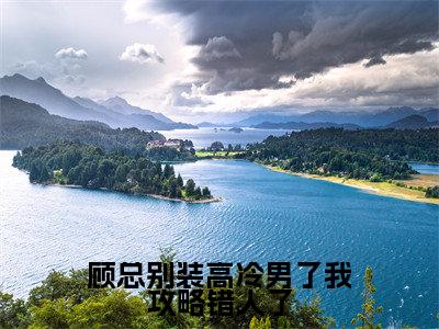 苏堇顾行泽书名是《顾总别装高冷男了我攻略错人了》在线赏析_顾总别装高冷男了我攻略错人了热门推荐阅读笔趣阁