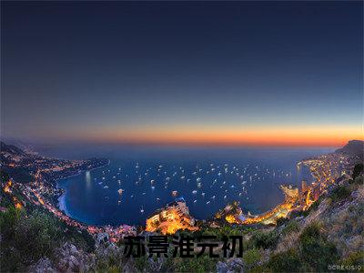 苏景淮元初免费小说,苏景淮元初全文免费阅读无弹窗大结局
