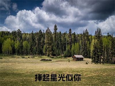 捧起星光似你全文免费阅读（段以辰姜舒免费阅读无弹窗）捧起星光似你最新章节列表_笔趣阁