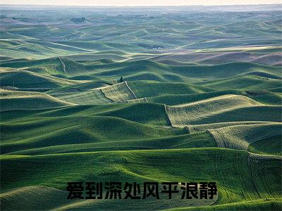 爱到深处风平浪静小说（苏予棠）全文免费阅读-爱到深处风平浪静全文阅读无弹窗
