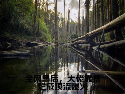 夏祈宁全文免费阅读大结局-全网黑后,大佬靠摆烂成顶流爆火最新章节阅读