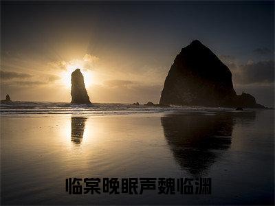 高棠魏临渊全文免费阅读大结局-高棠魏临渊最新章节免费阅读大结局