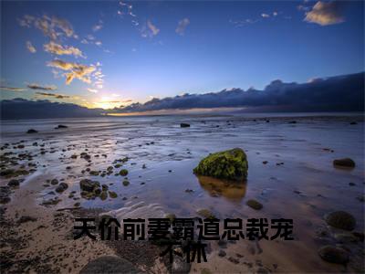 钱诗瑜冷昊焱小说(天价前妻霸道总裁宠不休)免费阅读-天价前妻霸道总裁宠不休(钱诗瑜冷昊焱)全章节最新阅读