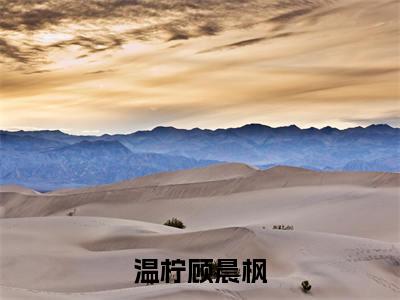 温柠顾晨枫温柠顾晨枫小说-温柠顾晨枫小说全文免费阅读