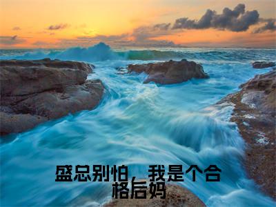 盛总别怕，我是个合格后妈小说全文大结局-盛总别怕，我是个合格后妈（苏韵盛云修）小说全文免费阅读
