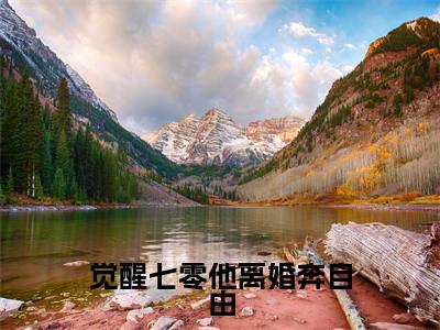 池钊韩美兰在线阅读（觉醒七零他离婚奔自由小说）全文免费阅读无弹窗大结局_觉醒七零他离婚奔自由免费最新章节列表