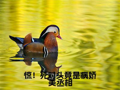 惊！死对头竟是病娇美丞相（景慕瑶裴延）完整版小说阅读_惊！死对头竟是病娇美丞相全文免费阅读最新章节列表_笔趣阁