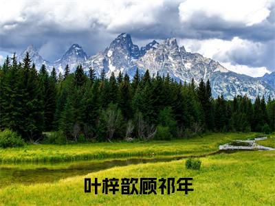 顾祁年叶梓歆（叶梓歆顾祁年）小说在线阅读-最新小说叶梓歆顾祁年（顾祁年叶梓歆）全文阅读