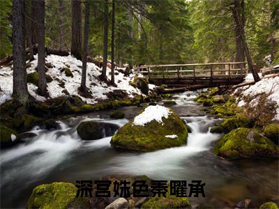 （明媚儿秦曜承）全文免费阅读无弹窗大结局_深宫姝色秦曜承完整版最新阅读_笔趣阁（明媚儿秦曜承）