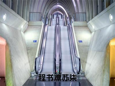 程书凛苏柒全文免费阅读_（程书凛苏柒免费阅读无弹窗）程书凛苏柒最新章节在线阅读笔趣阁