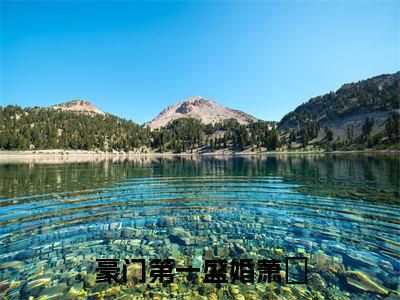 夏暖心萧玦小说在线阅读(豪门第一盛婚萧玦)全文免费阅读无弹窗大结局_夏暖心萧玦小说免费最新章节列表