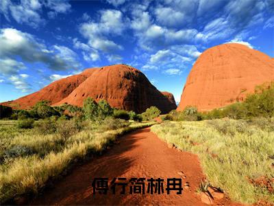 林冉傅行简（傅行简林冉）全文免费阅读无弹窗大结局_傅行简林冉最新章节列表笔趣阁